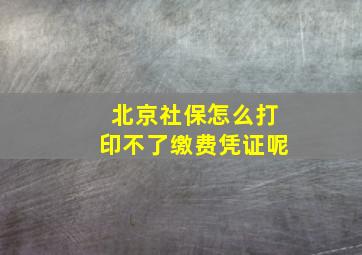 北京社保怎么打印不了缴费凭证呢