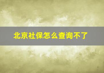 北京社保怎么查询不了