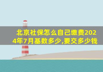 北京社保怎么自己缴费2024年7月基数多少,要交多少钱