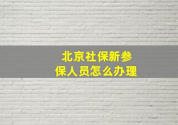 北京社保新参保人员怎么办理