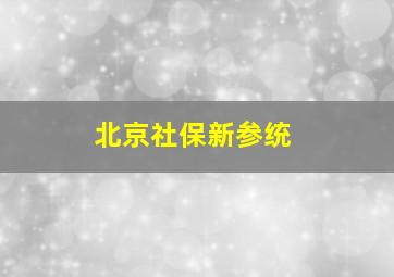 北京社保新参统