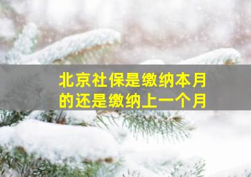 北京社保是缴纳本月的还是缴纳上一个月