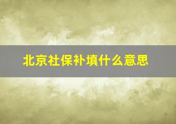 北京社保补填什么意思