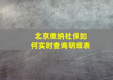 北京缴纳社保如何实时查询明细表