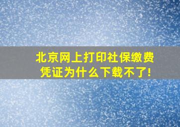 北京网上打印社保缴费凭证为什么下载不了!