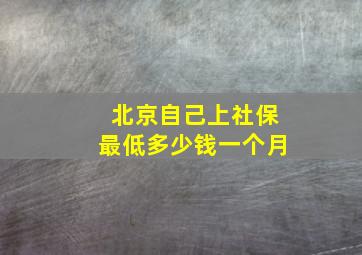 北京自己上社保最低多少钱一个月