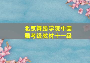 北京舞蹈学院中国舞考级教材十一级