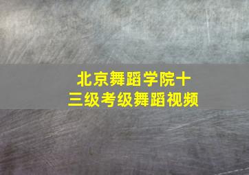 北京舞蹈学院十三级考级舞蹈视频