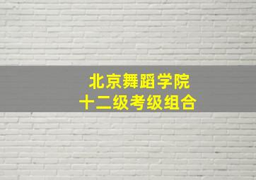 北京舞蹈学院十二级考级组合