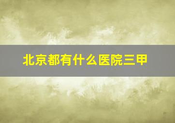 北京都有什么医院三甲