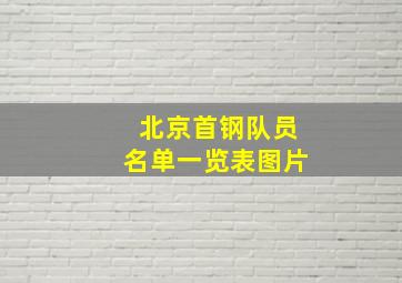 北京首钢队员名单一览表图片