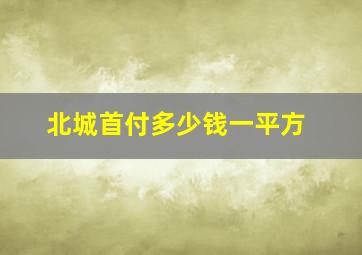 北城首付多少钱一平方