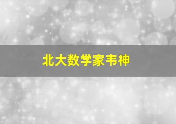 北大数学家韦神