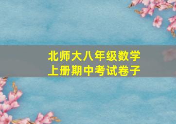 北师大八年级数学上册期中考试卷子