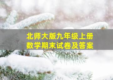 北师大版九年级上册数学期末试卷及答案