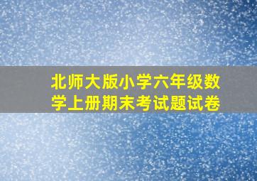 北师大版小学六年级数学上册期末考试题试卷