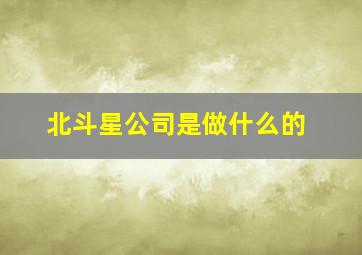 北斗星公司是做什么的