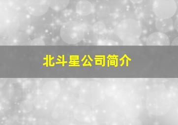 北斗星公司简介