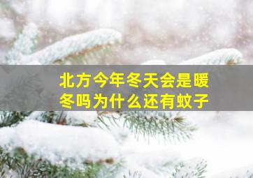 北方今年冬天会是暖冬吗为什么还有蚊子