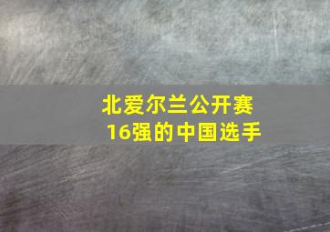 北爱尔兰公开赛16强的中国选手