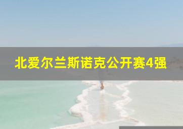 北爱尔兰斯诺克公开赛4强