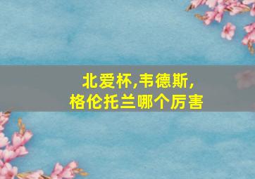 北爱杯,韦德斯,格伦托兰哪个厉害