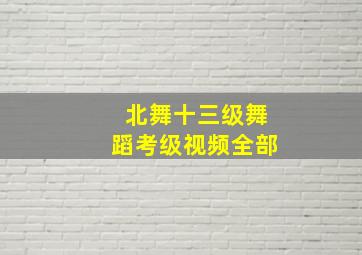 北舞十三级舞蹈考级视频全部