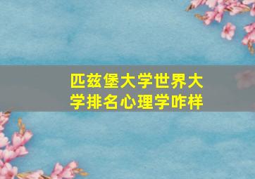 匹兹堡大学世界大学排名心理学咋样