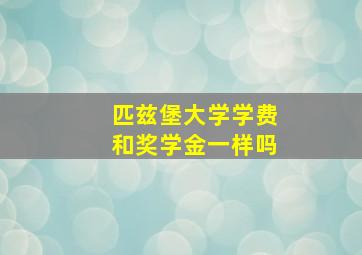 匹兹堡大学学费和奖学金一样吗