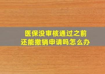 医保没审核通过之前还能撤销申请吗怎么办