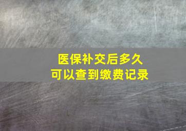 医保补交后多久可以查到缴费记录