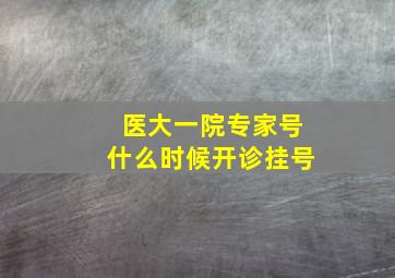 医大一院专家号什么时候开诊挂号