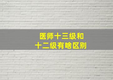 医师十三级和十二级有啥区别