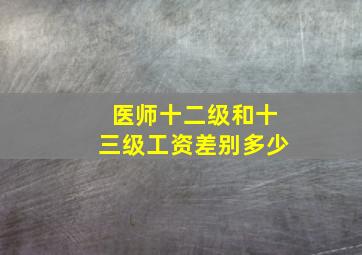 医师十二级和十三级工资差别多少