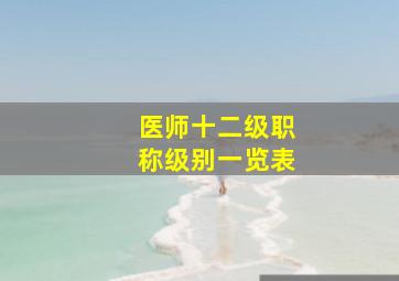 医师十二级职称级别一览表