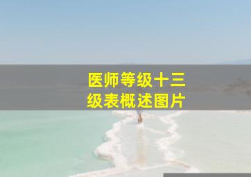 医师等级十三级表概述图片