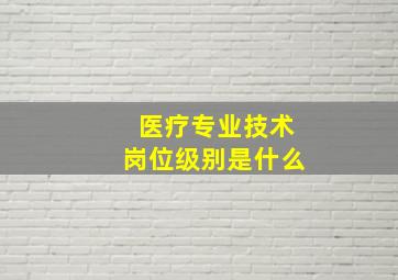 医疗专业技术岗位级别是什么