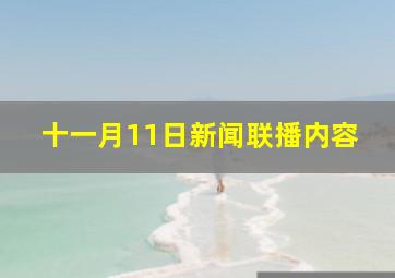 十一月11日新闻联播内容