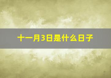 十一月3日是什么日子