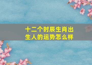 十二个时辰生肖出生人的运势怎么样