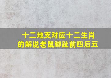 十二地支对应十二生肖的解说老鼠脚趾前四后五