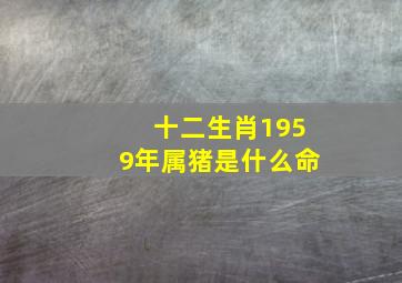 十二生肖1959年属猪是什么命