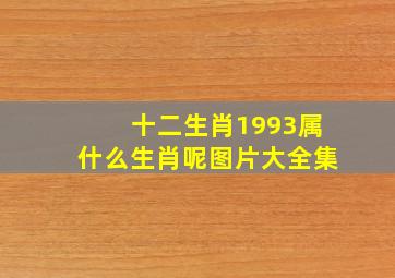 十二生肖1993属什么生肖呢图片大全集