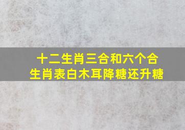 十二生肖三合和六个合生肖表白木耳降糖还升糖