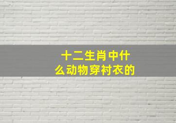 十二生肖中什么动物穿衬衣的