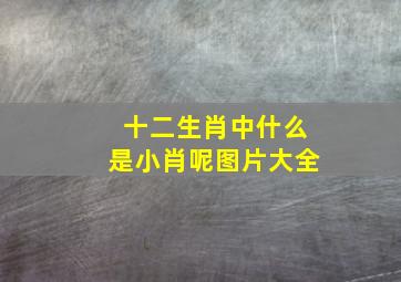 十二生肖中什么是小肖呢图片大全