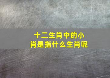 十二生肖中的小肖是指什么生肖呢