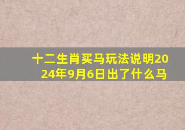 十二生肖买马玩法说明2024年9月6日出了什么马