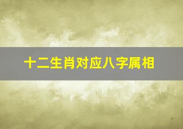 十二生肖对应八字属相