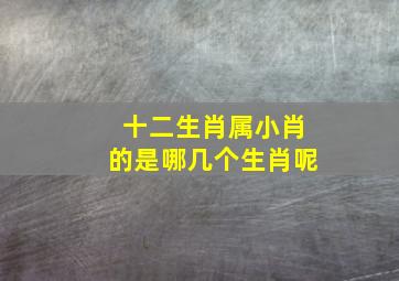 十二生肖属小肖的是哪几个生肖呢